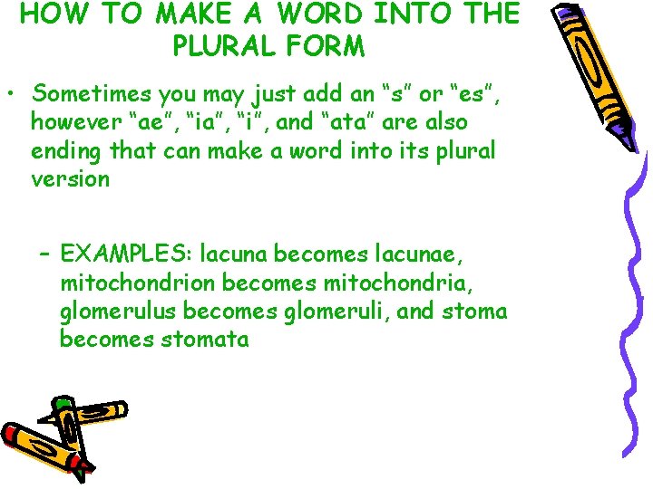 HOW TO MAKE A WORD INTO THE PLURAL FORM • Sometimes you may just