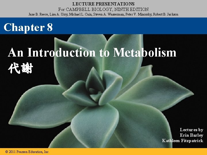 LECTURE PRESENTATIONS For CAMPBELL BIOLOGY, NINTH EDITION Jane B. Reece, Lisa A. Urry, Michael