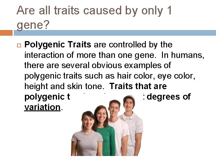 Are all traits caused by only 1 gene? Polygenic Traits are controlled by the