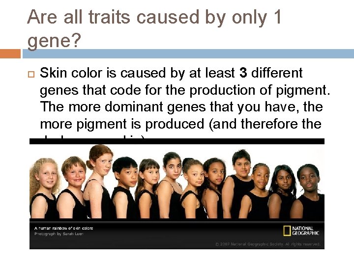 Are all traits caused by only 1 gene? Skin color is caused by at