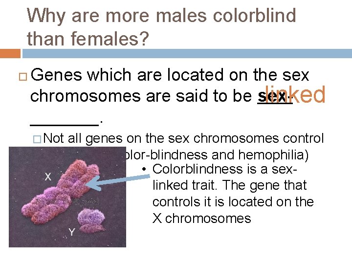 Why are more males colorblind than females? Genes which are located on the sex