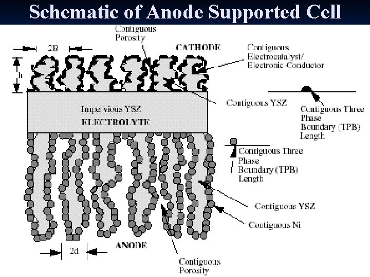 Schematic of Anode Supported Cell 