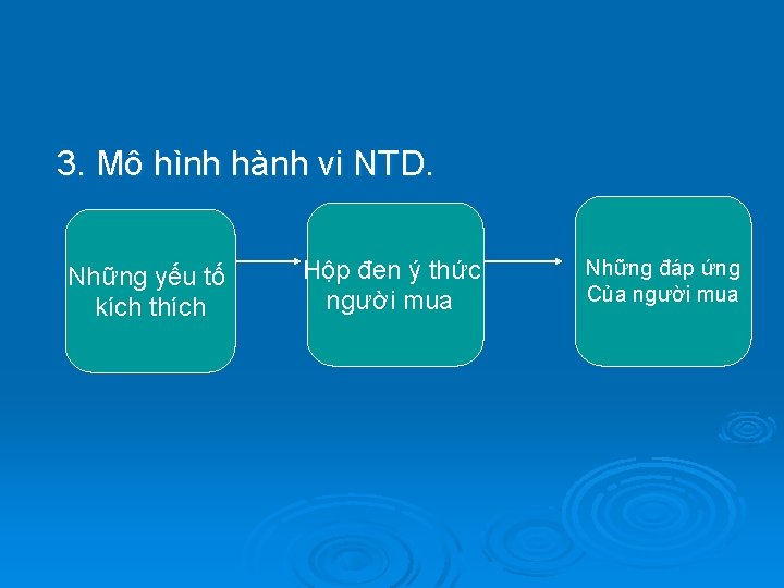 3. Mô hình hành vi NTD. Những yếu tố kích thích Hộp đen ý