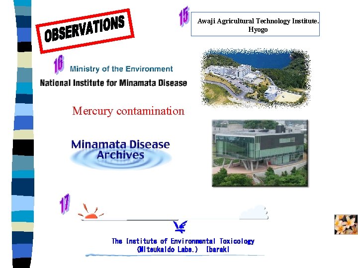 Awaji Agricultural Technology Institute. Hyogo Mercury contamination The Institute of Environmental Toxicology (Mitsukaido Labs.