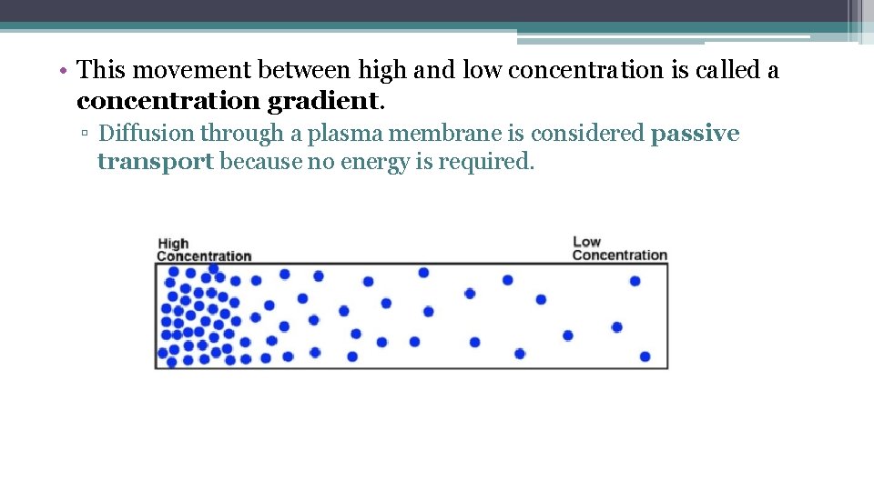  • This movement between high and low concentration is called a concentration gradient.