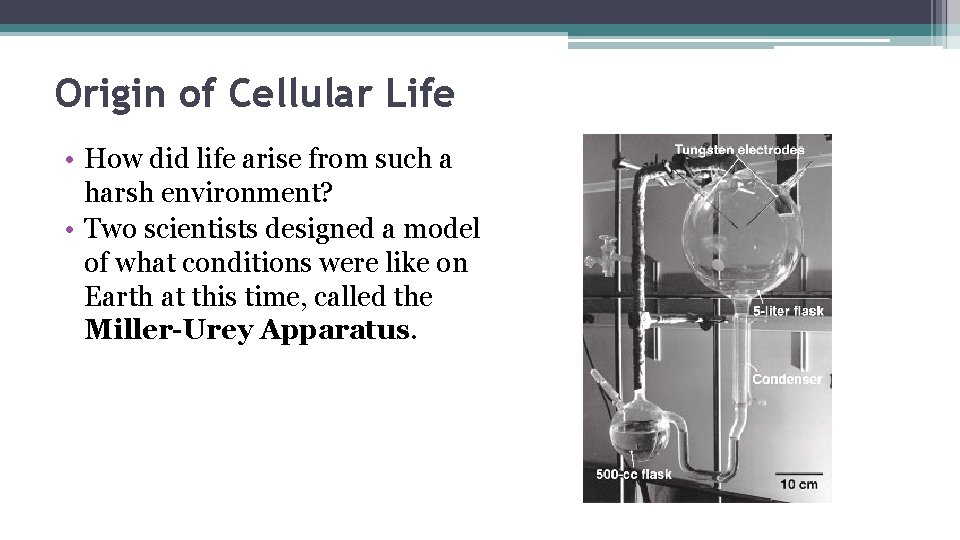 Origin of Cellular Life • How did life arise from such a harsh environment?