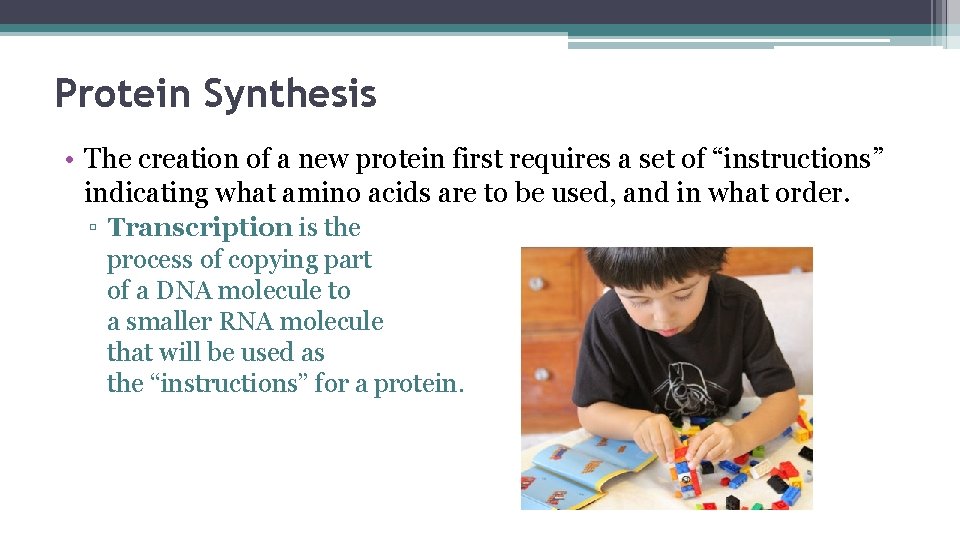 Protein Synthesis • The creation of a new protein first requires a set of