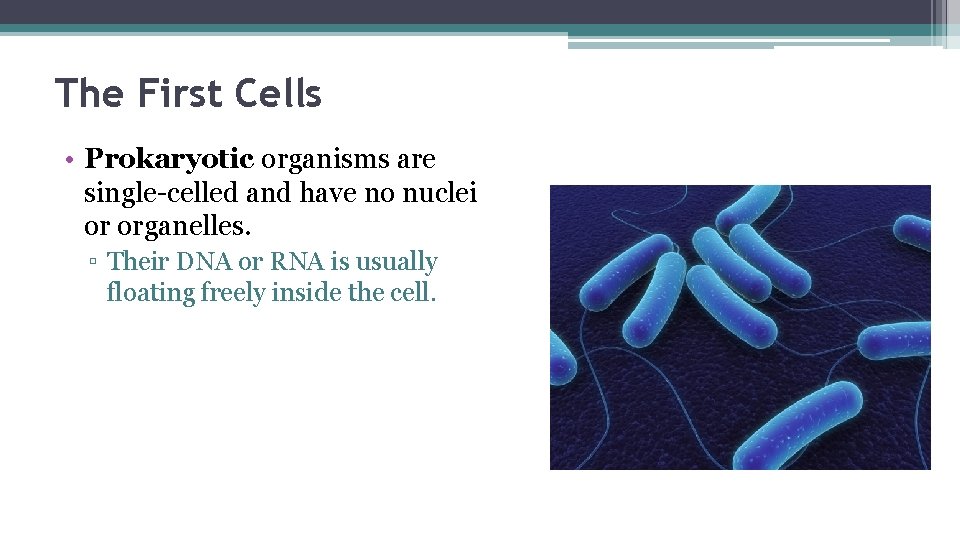 The First Cells • Prokaryotic organisms are single-celled and have no nuclei or organelles.