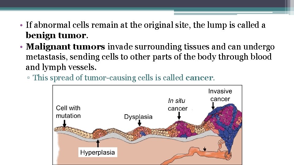  • If abnormal cells remain at the original site, the lump is called