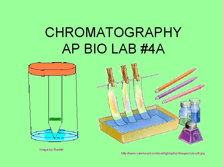 CHROMATOGRAPHY AP BIO LAB #4 A Image by Riedell http: //www. valemount. com/joel/lightoptics/images/colour 6.