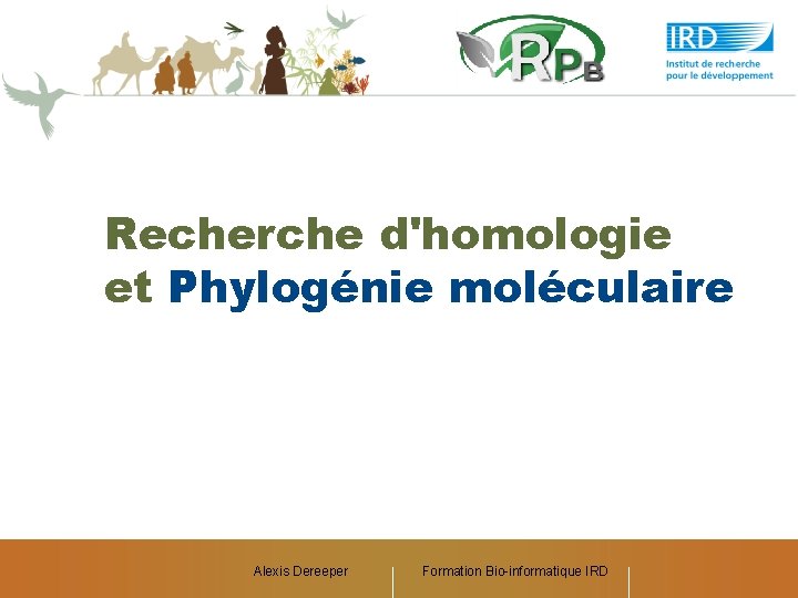 Recherche d'homologie et Phylogénie moléculaire Alexis Dereeper Formation Bio-informatique IRD 