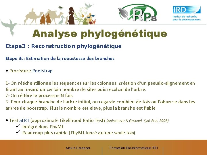 Analyse phylogénétique Etape 3 : Reconstruction phylogénétique Etape 3 c: Estimation de la robustesse