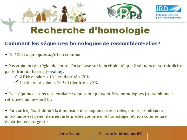 Recherche d’homologie Comment les séquences homologues se ressemblent-elles? • De 100% à quelques aa/nt