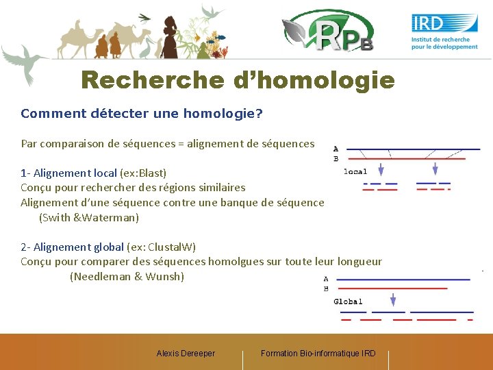 Recherche d’homologie Comment détecter une homologie? Par comparaison de séquences = alignement de séquences