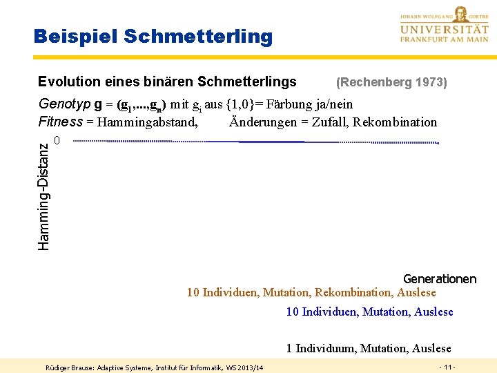 Beispiel Schmetterling Evolution eines binären Schmetterlings (Rechenberg 1973) Hamming-Distanz Genotyp g = (g 1,