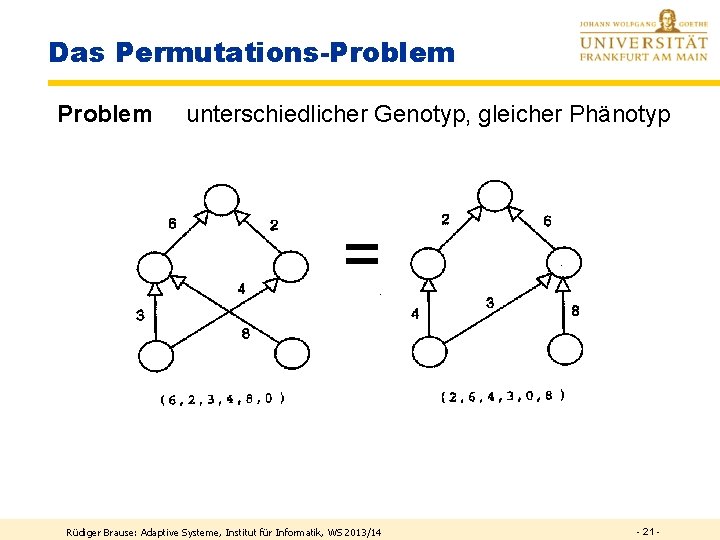Das Permutations-Problem unterschiedlicher Genotyp, gleicher Phänotyp = Rüdiger Brause: Adaptive Systeme, Institut für Informatik,