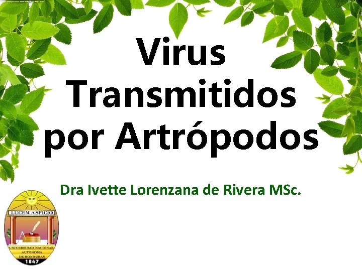 Virus Transmitidos por Artrópodos Dra Ivette Lorenzana de Rivera MSc. 