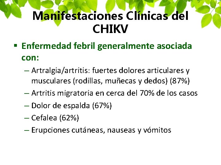 Manifestaciones Clínicas del CHIKV § Enfermedad febril generalmente asociada con: – Artralgia/artritis: fuertes dolores