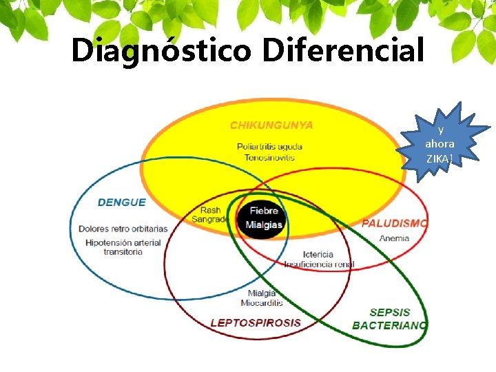 Diagnóstico Diferencial y ahora ZIKA! 