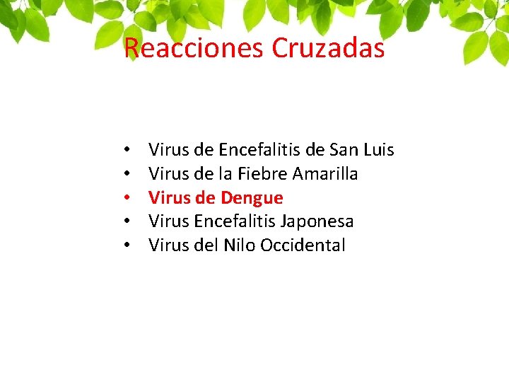 Reacciones Cruzadas • • • Virus de Encefalitis de San Luis Virus de la