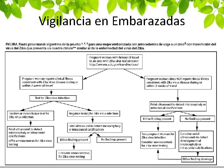 Vigilancia en Embarazadas 