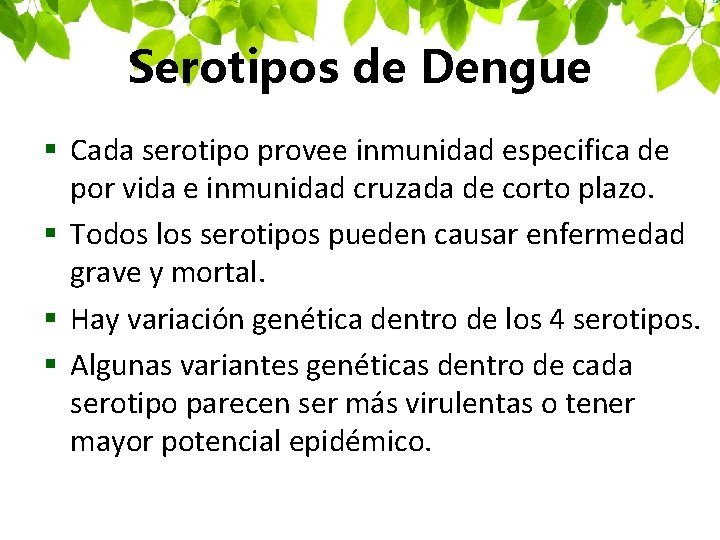 Serotipos de Dengue § Cada serotipo provee inmunidad especifica de por vida e inmunidad