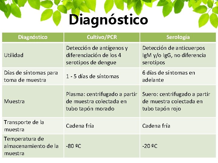 Diagnóstico Cultivo/PCR Serología Utilidad Detección de antígenos y diferenciación de los 4 serotipos de