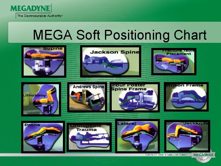 MEGA Soft Positioning Chart Andrews Spine 