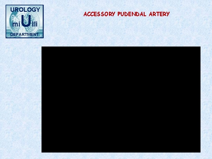 UROLOGY mi Ulli DEPARTMENT ACCESSORY PUDENDAL ARTERY 