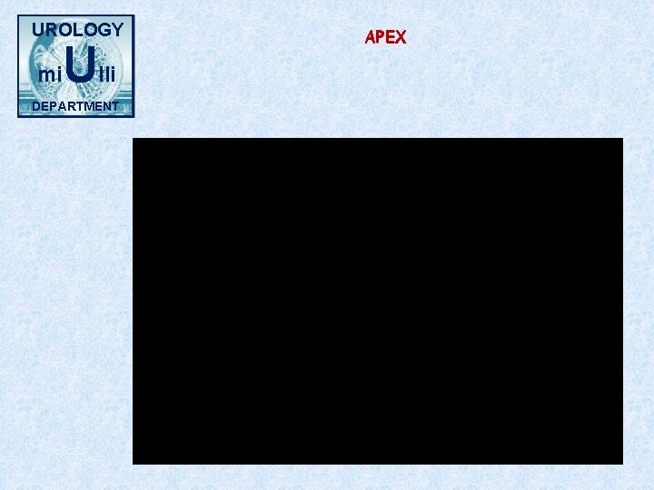 UROLOGY mi Ulli DEPARTMENT APEX 