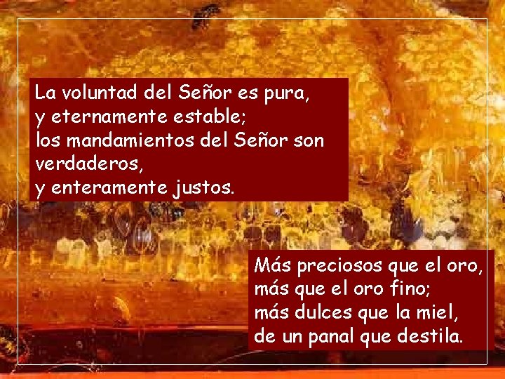 La voluntad del Señor es pura, y eternamente estable; los mandamientos del Señor son