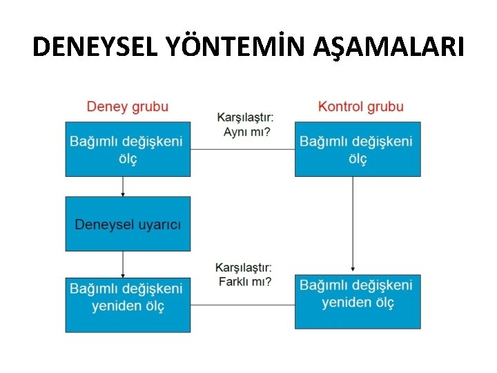 DENEYSEL YÖNTEMİN AŞAMALARI 