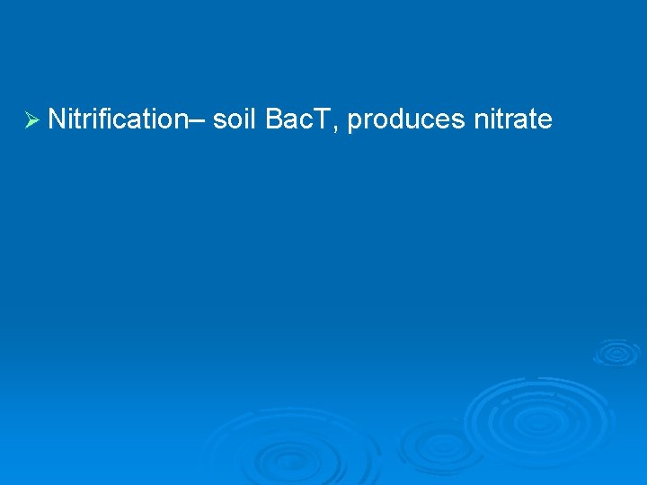 Ø Nitrification– soil Bac. T, produces nitrate 