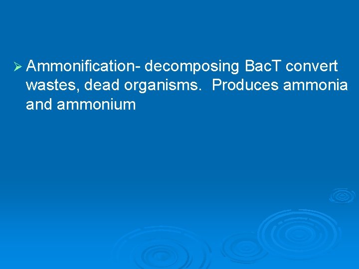 Ø Ammonification- decomposing Bac. T convert wastes, dead organisms. Produces ammonia and ammonium 