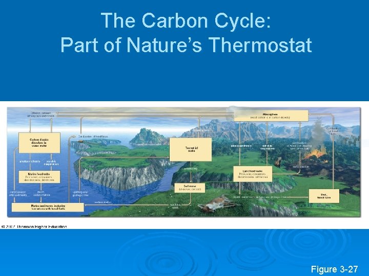 The Carbon Cycle: Part of Nature’s Thermostat Figure 3 -27 