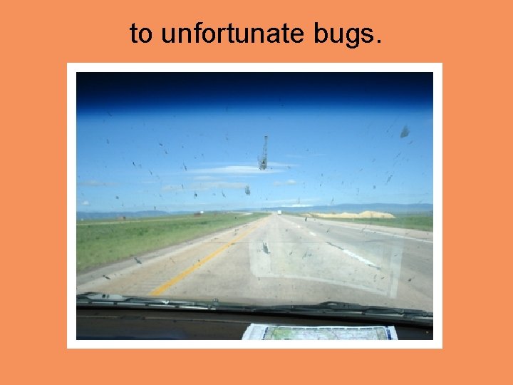 to unfortunate bugs. 