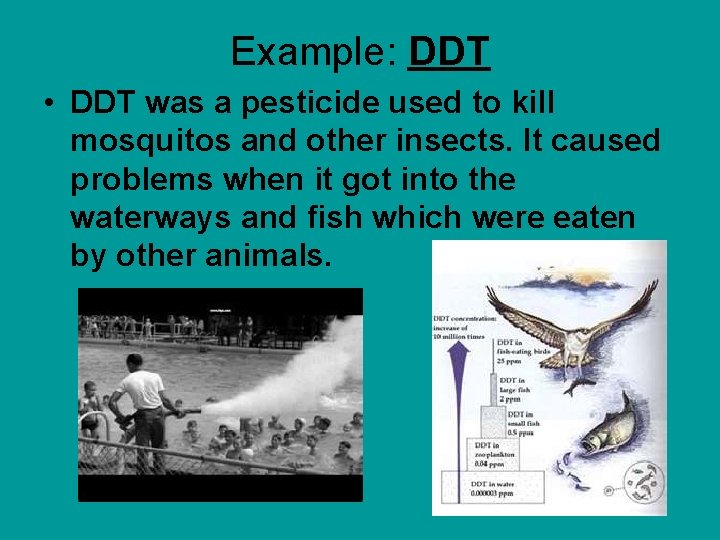 Example: DDT • DDT was a pesticide used to kill mosquitos and other insects.