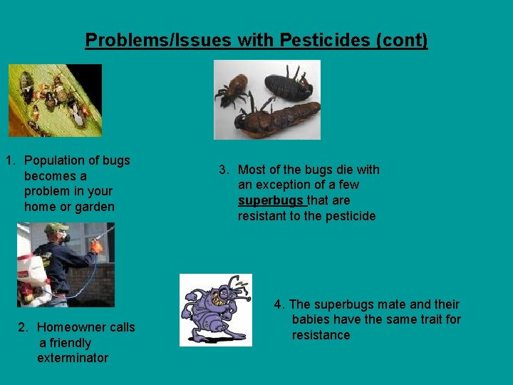 Problems/Issues with Pesticides (cont) 1. Population of bugs becomes a problem in your home