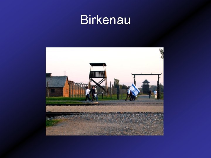 Birkenau 