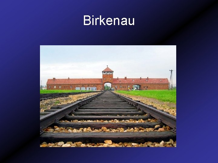 Birkenau 