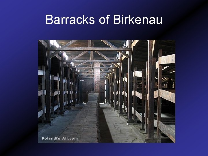 Barracks of Birkenau 