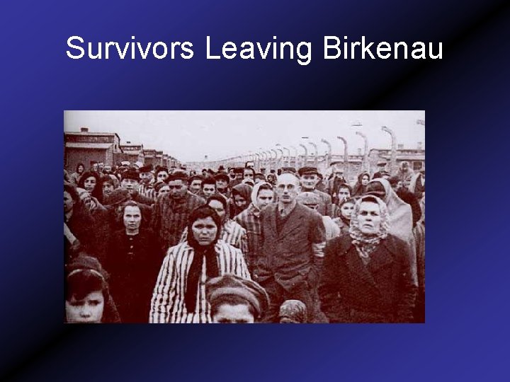 Survivors Leaving Birkenau 