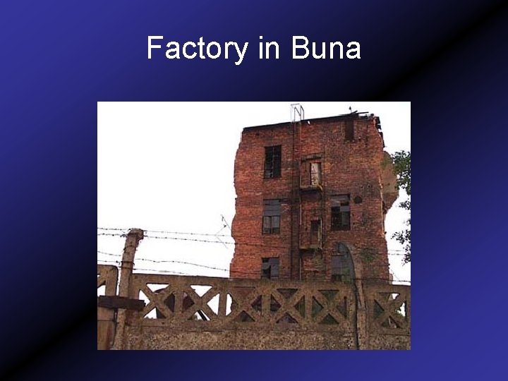 Factory in Buna 
