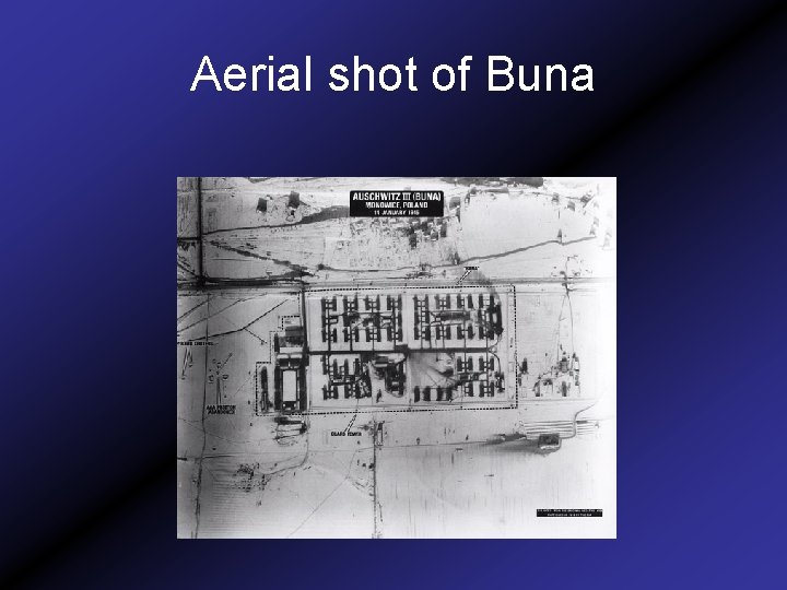 Aerial shot of Buna 