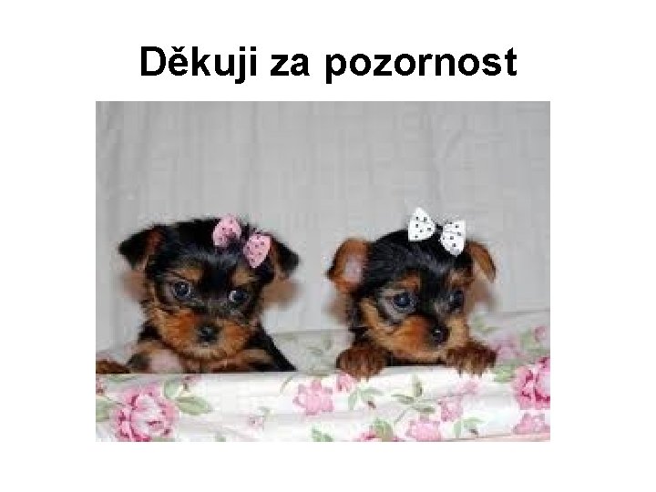 Děkuji za pozornost 