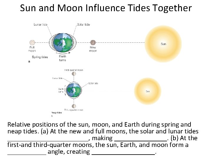 Sun and Moon Influence Tides Together Relative positions of the sun, moon, and Earth