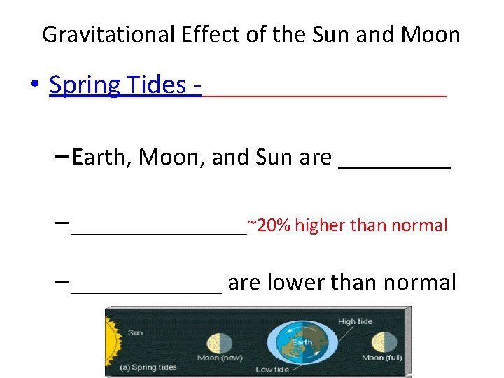Gravitational Effect of the Sun and Moon • Spring Tides -___________ – Earth, Moon,