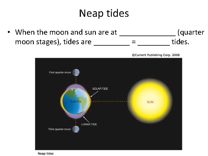 Neap tides • When the moon and sun are at _______ (quarter moon stages),