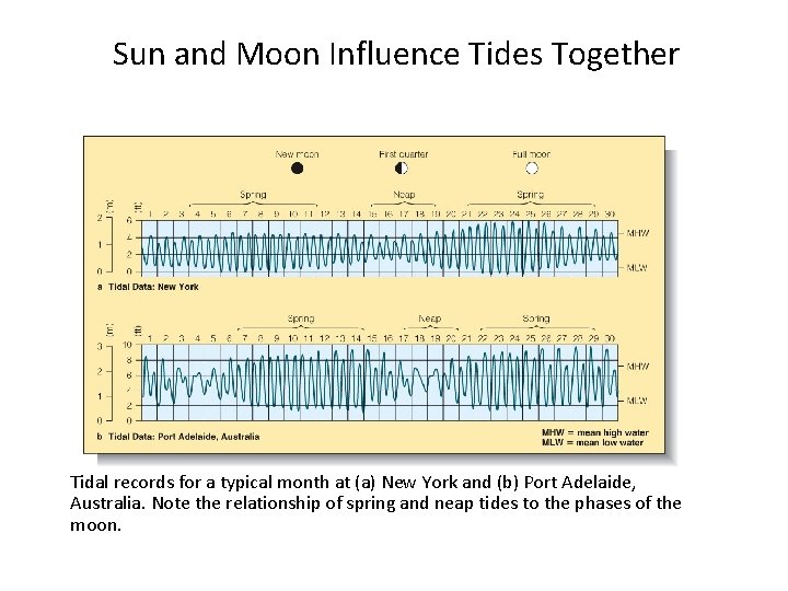 Sun and Moon Influence Tides Together Tidal records for a typical month at (a)