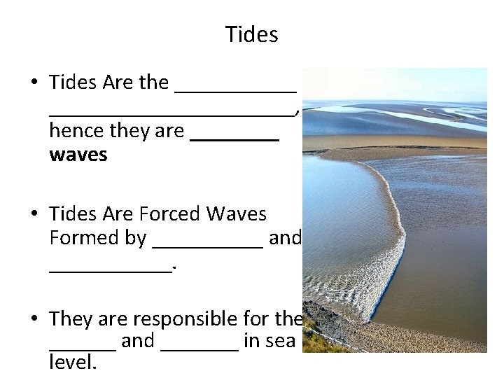Tides • Tides Are the _________________, hence they are ____ waves • Tides Are